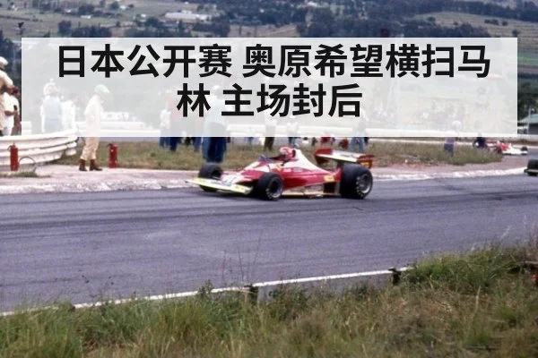 日本公开赛 奥原希望横扫马林 主场封后